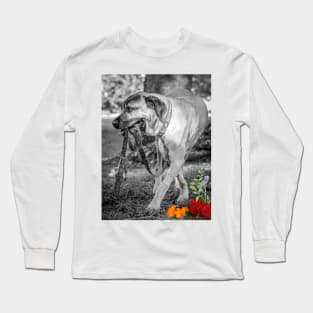 Ellie Long Sleeve T-Shirt